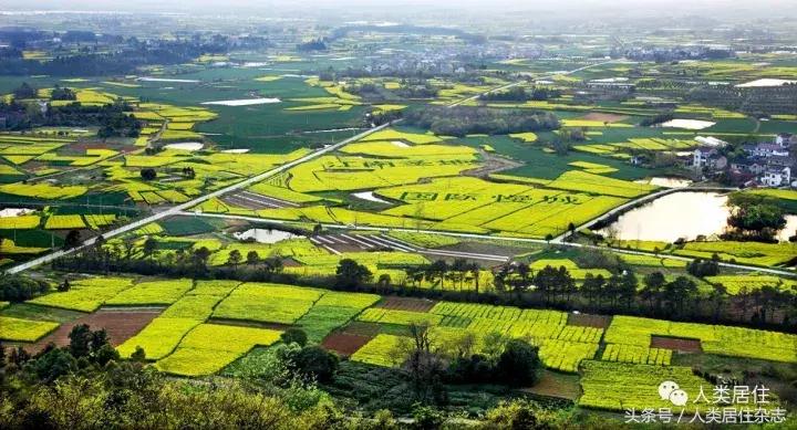 「特色小镇」国际慢城的从容境界：南京桠溪