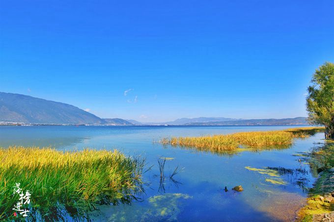 大理洱海海舌半岛需要门票吗,洱海最美半岛是尼格半岛吗