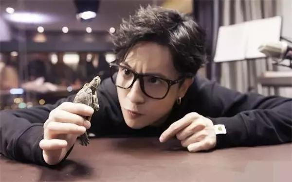 中国网红粉丝最多的十大网红,中国第一网红排行榜