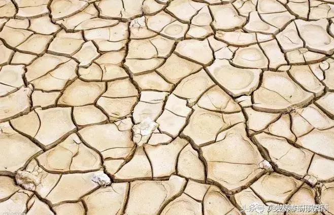 去头屑止痒最有效便宜的办法,去头屑去真菌