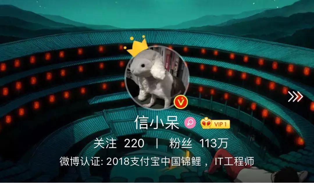 天猫的锦鲤活动在哪看到,2019天猫锦鲤