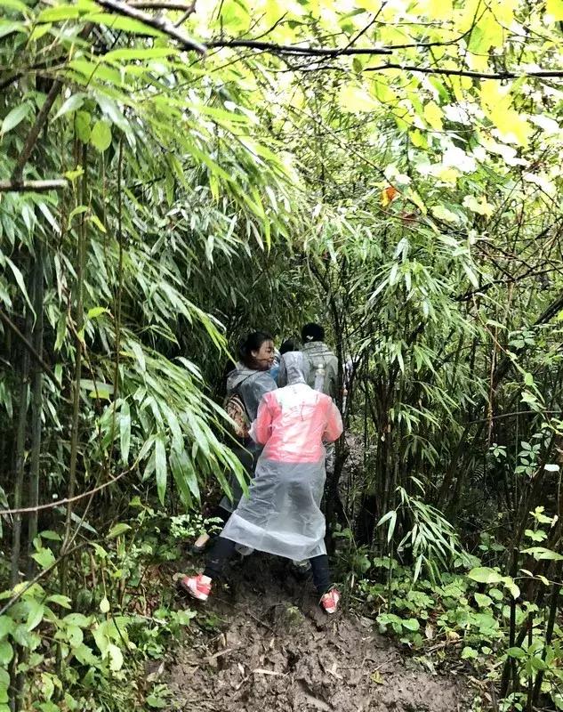 新鲜龙须笋的家常做法,龙须笋的正确食用方法