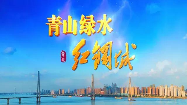 红蓝绿黑你喜欢什么色,红绿蓝清新配色