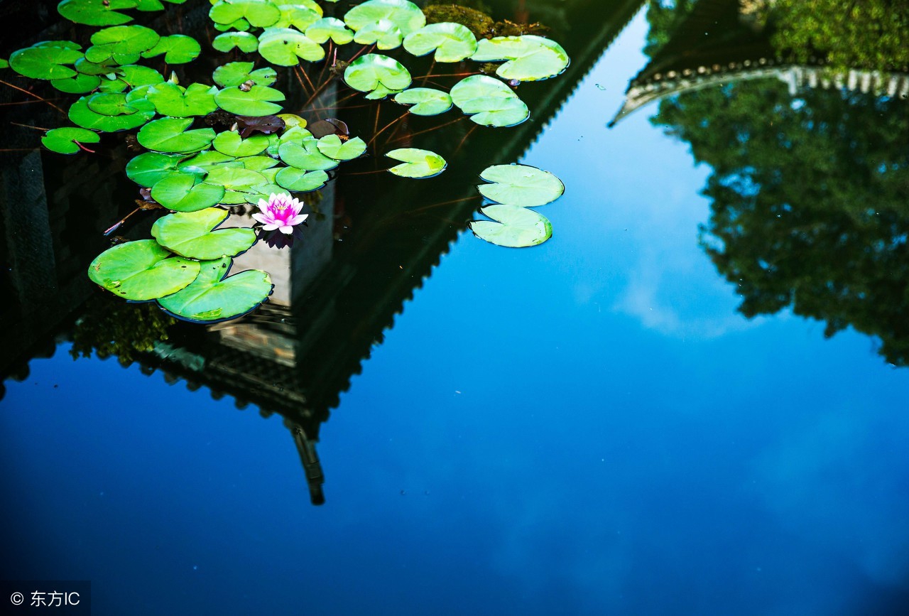 林清玄最好的十篇散文,林清玄的散文中学生