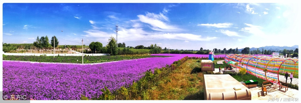 园林垃圾处理设备,园林垃圾变废为宝