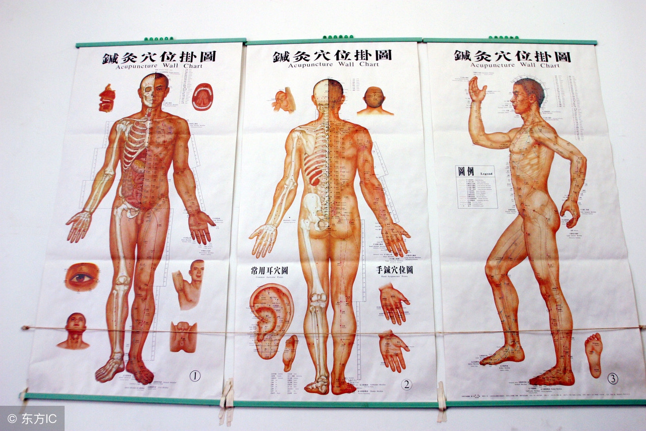 撞树对心脑血管有好处吗,后背撞树对心血管有好处吗