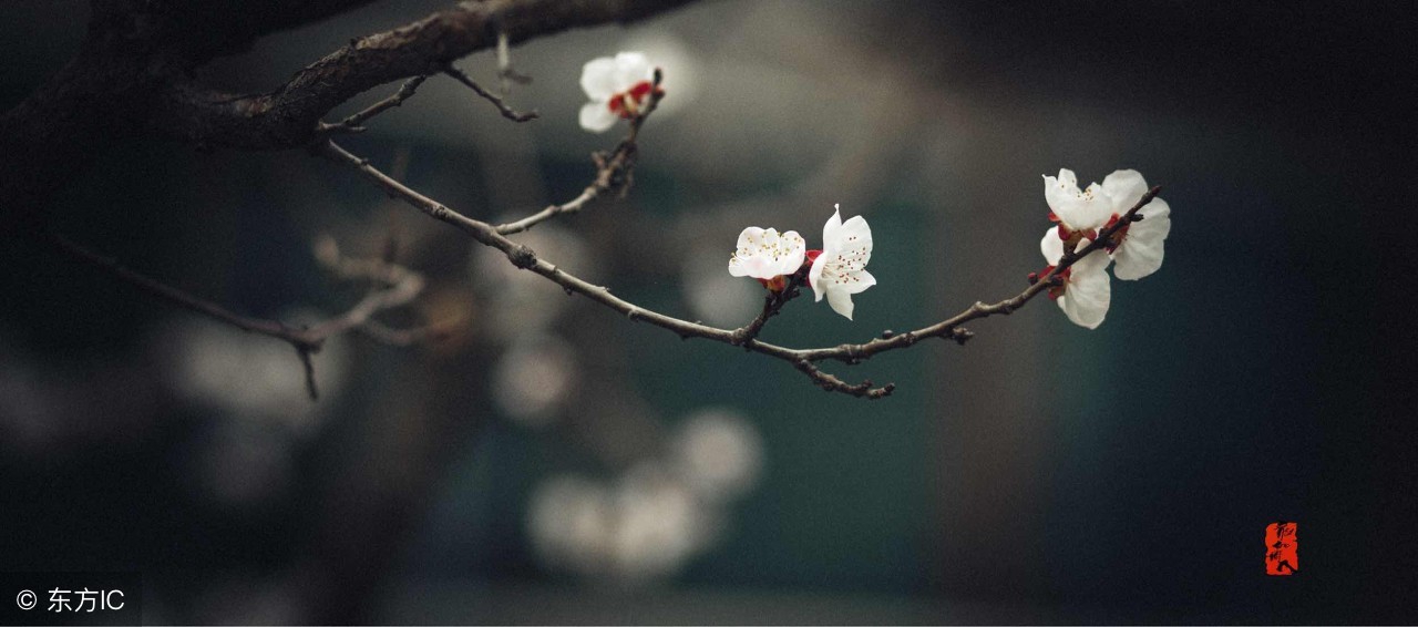 你心中的江南是怎样的？余光中笔下的江南：是山水是爱人是母亲