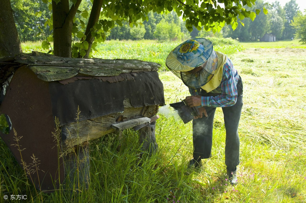 北京同仁堂有山寨的吗,北京同仁堂未开封的蜂蜜还能喝吗