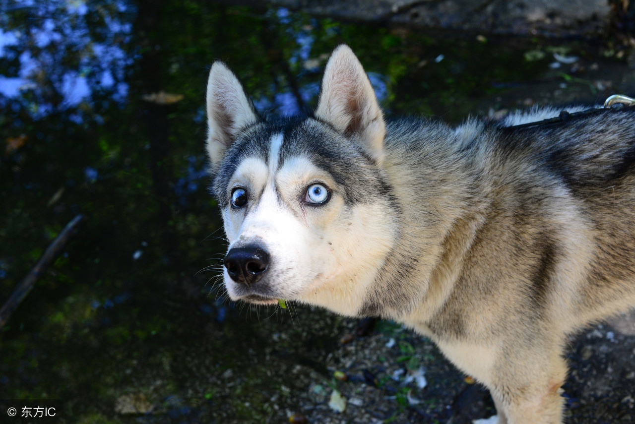 常规型人格大全,各型人格分析技巧