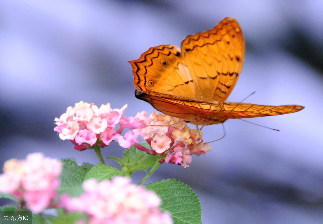 世界名曲欣赏经典加州旅馆,欧美十大怀旧经典老歌加州旅馆
