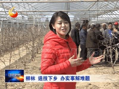 柳林财政所进村入户听民声解民忧,柳林开展入企进村服务工作