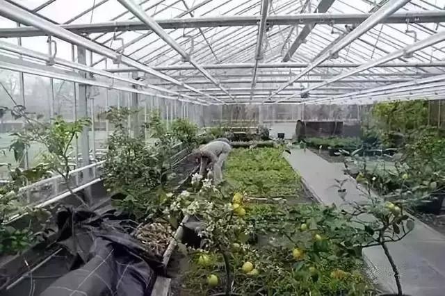 田园农场农庄,空绿田园农场餐厅