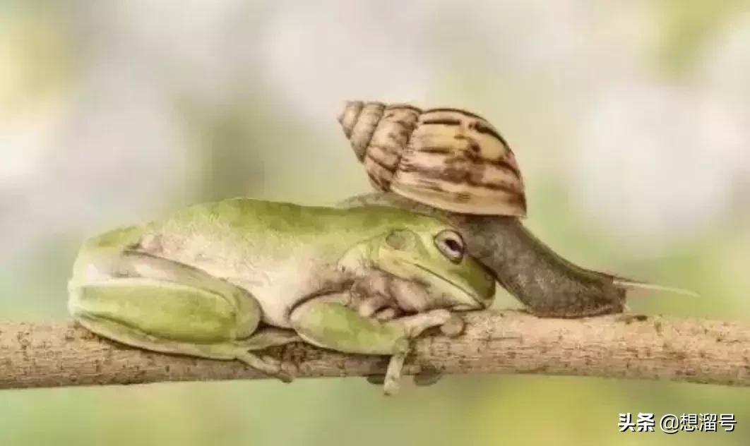 被囚34年取精，被迫亲手杀死爱子，最后只能挣扎着死去……