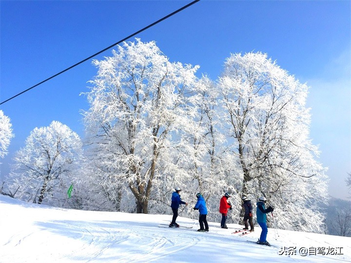 哈尔滨平山神鹿滑雪场攻略,平山神鹿滑雪场一日游