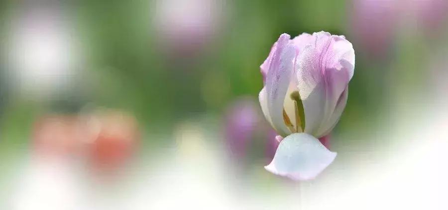 婚恋关系中的家庭氛围,你们的婚姻伴侣忠诚度有多高