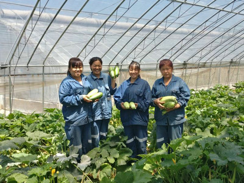 郑州义煤集团,义煤集团脱离河南能源