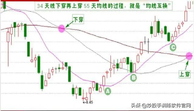像乌龟一样趴着炒股,像麻雀一样的股票