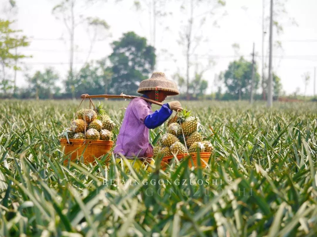 距海南20km有片处女地，比台湾风情比三亚便宜，路过都错过了