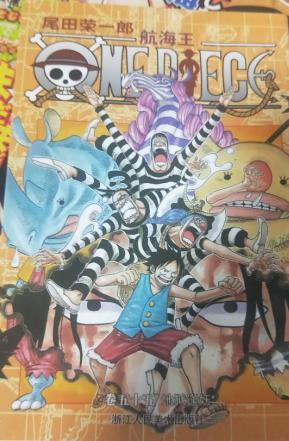 海贼王书籍推荐,海贼王怎么推荐新人看