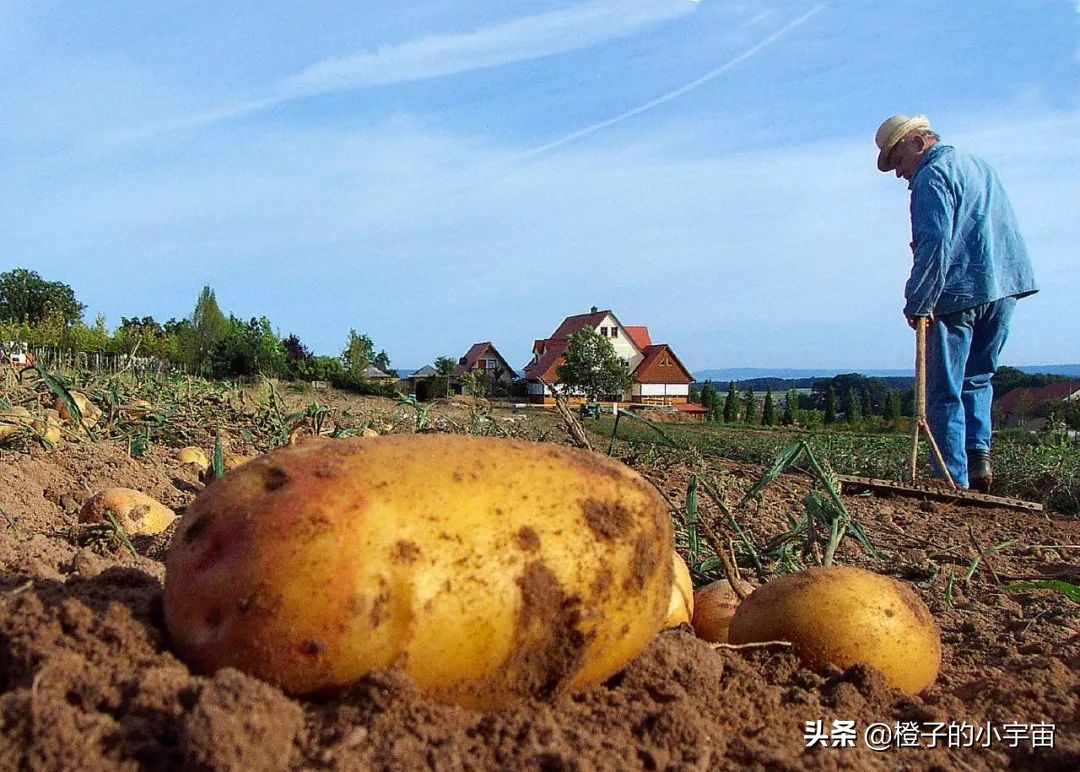 便宜到你怀疑人生的零食店,贵得能让你怀疑人生的菜