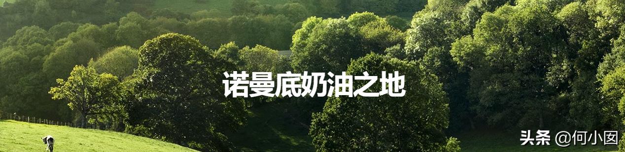 涔愯嵎榛勬补鍜屽畨浣抽粍娌瑰摢涓瘮杈冨ソ,涔愯嵎榛勬补鍜屽畨浣抽粍娌瑰摢涓ソ