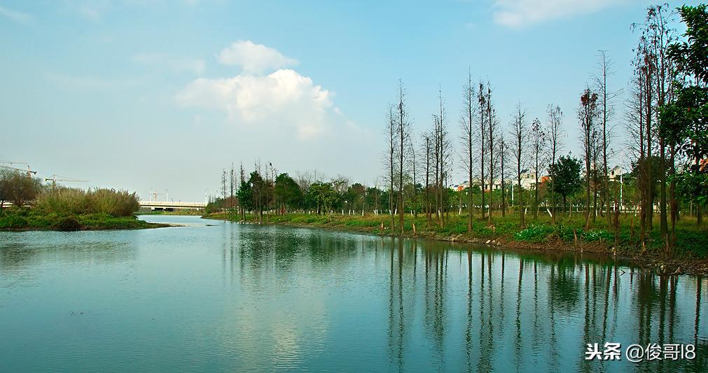 广州批发市场一览表,广州大型批发市场一览表