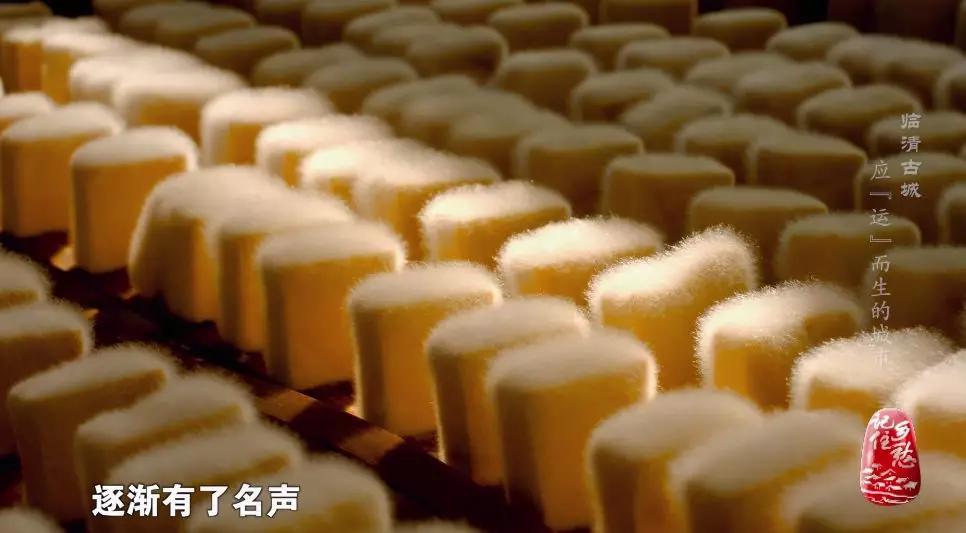 临清一个曾经辉煌的城市,临清一座因运河而兴的城市