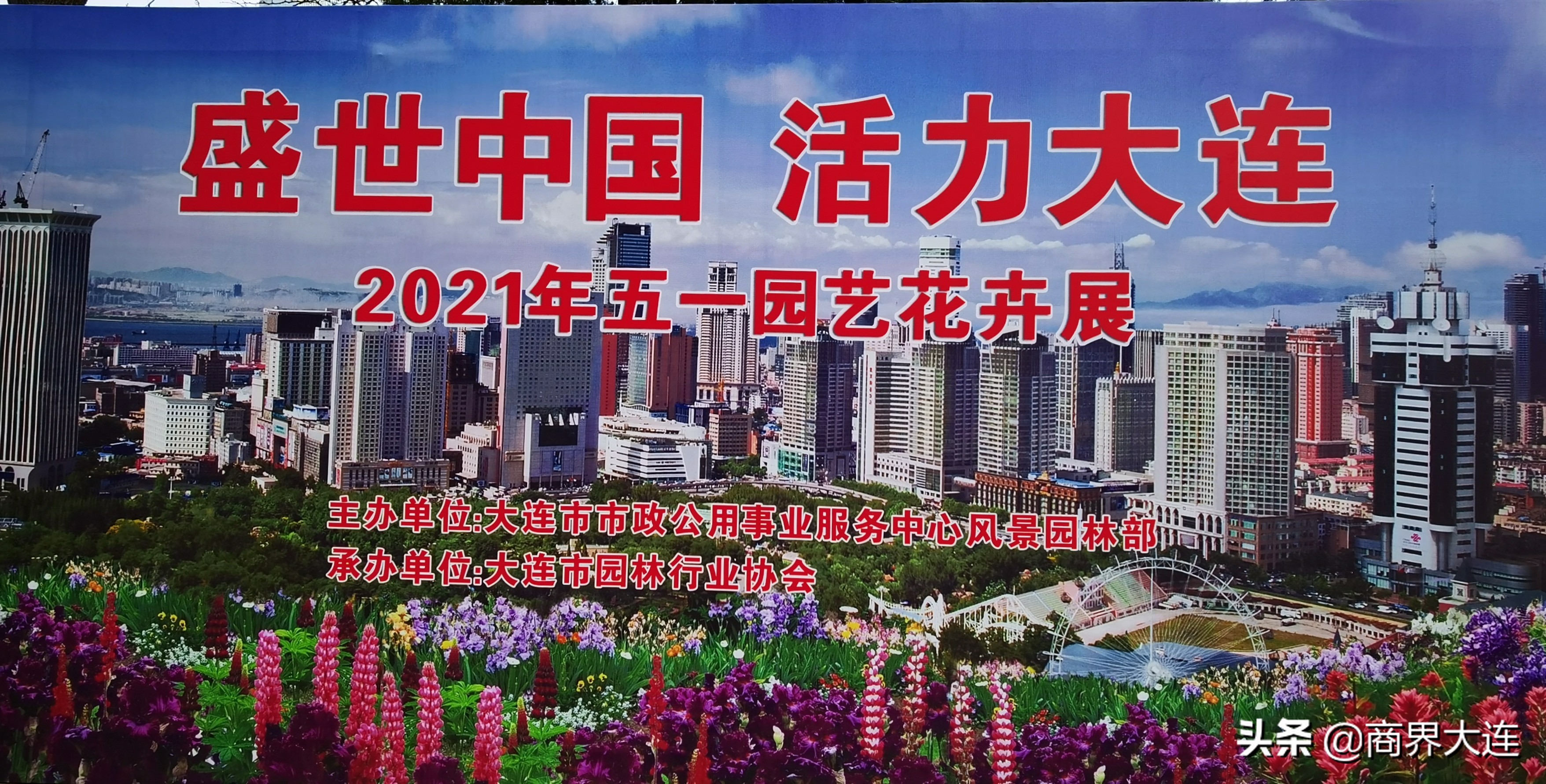 大连花卉展览会在哪里,大连花木公司直播