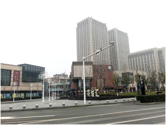 碧桂园生态城东境叠拼,碧桂园生态东境缺点