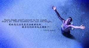 为什么说肖申克的救赎是最佳影片,为什么肖申克的救赎成为经典