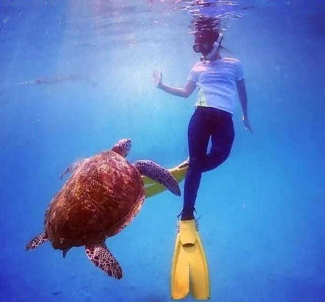 解锁夏日探索心中最美的海岛