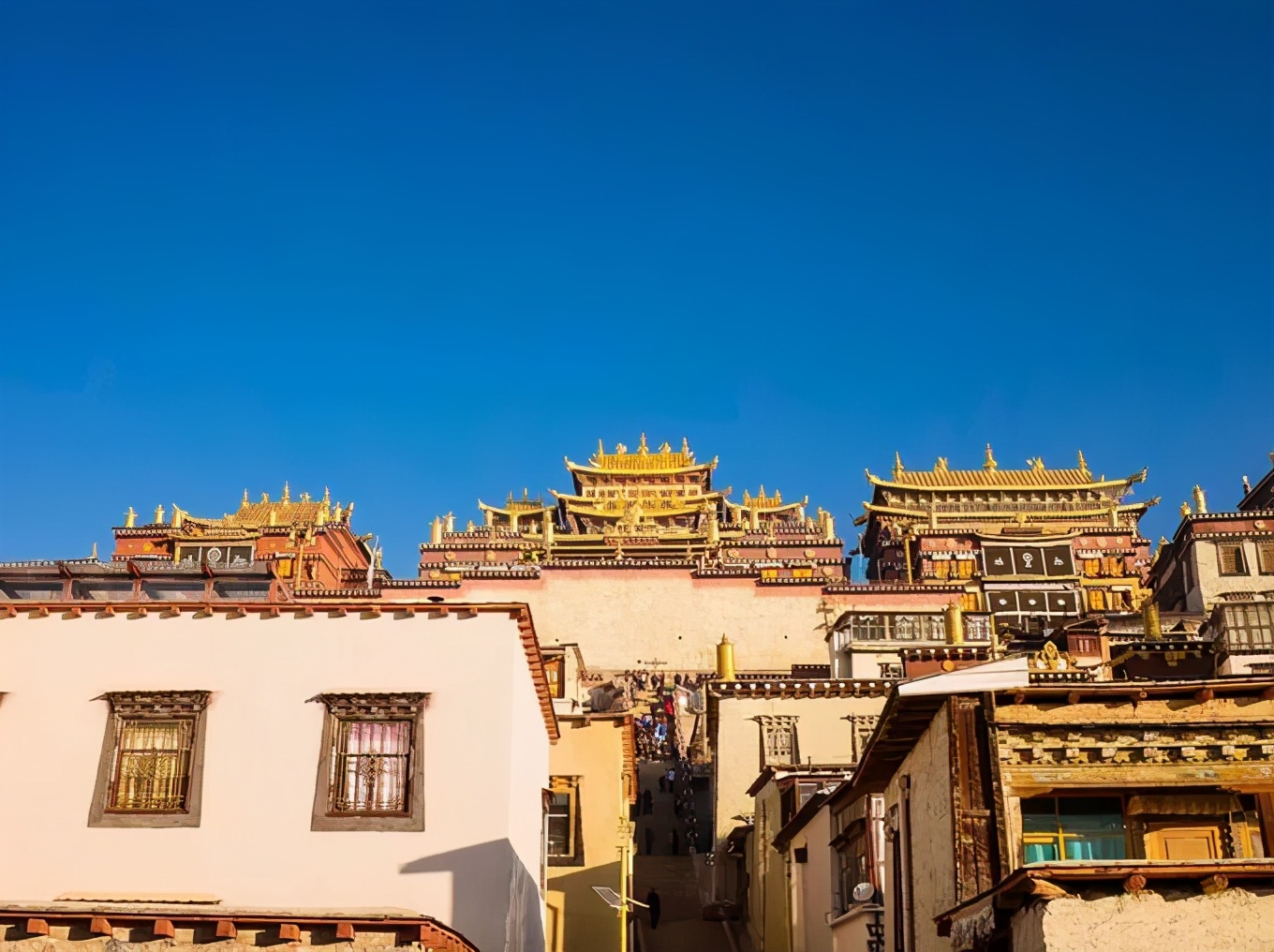 去云南旅游纯玩团价格,云南旅游纯玩团报团价6日游