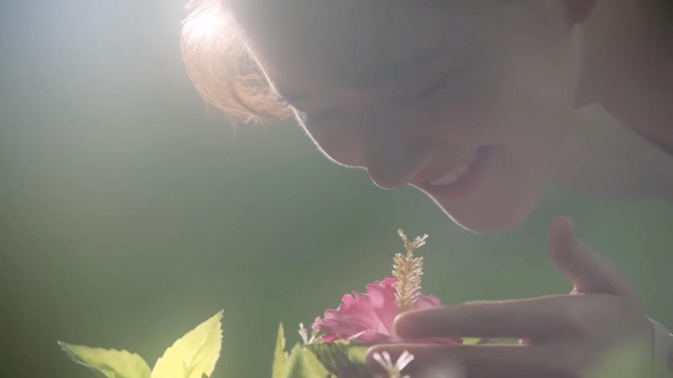 长歌行李乐嫣想做大唐的公主,长歌行李乐嫣是历史上哪个公主