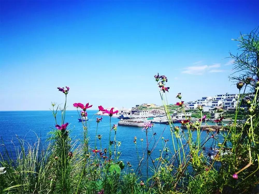 海居铂尔曼酒店全海景,铂尔曼酒店三亚豪华海景房