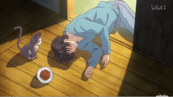 最萌新番,豆瓣8.8最佳纪录片女主