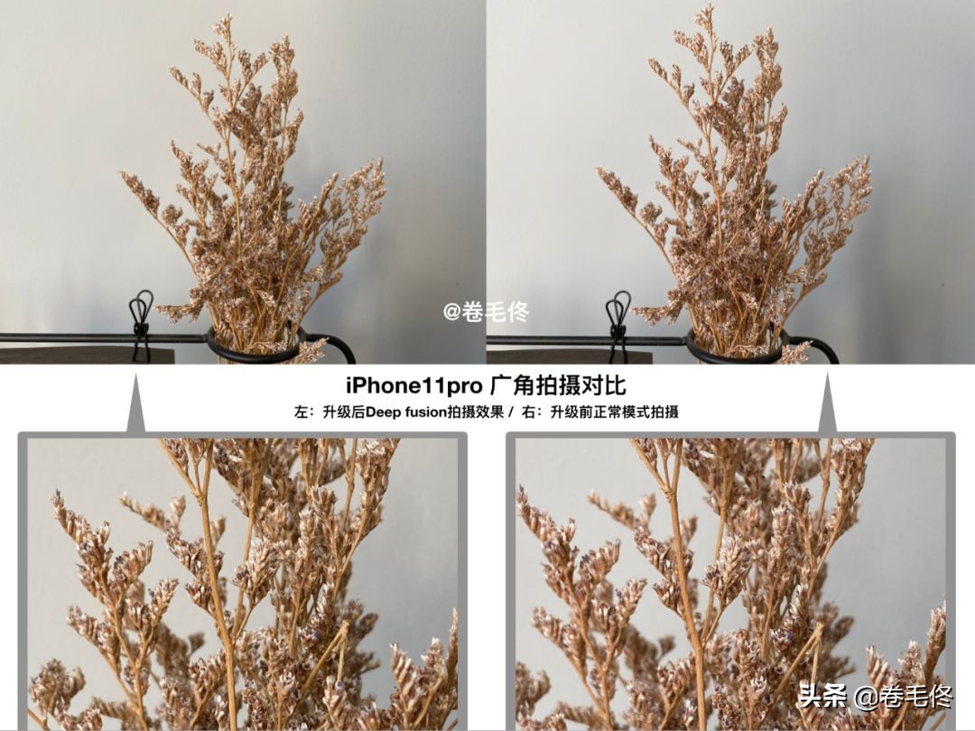 iphone11pro和iphone11拍照的区别,iphone11pro和iphone12拍照