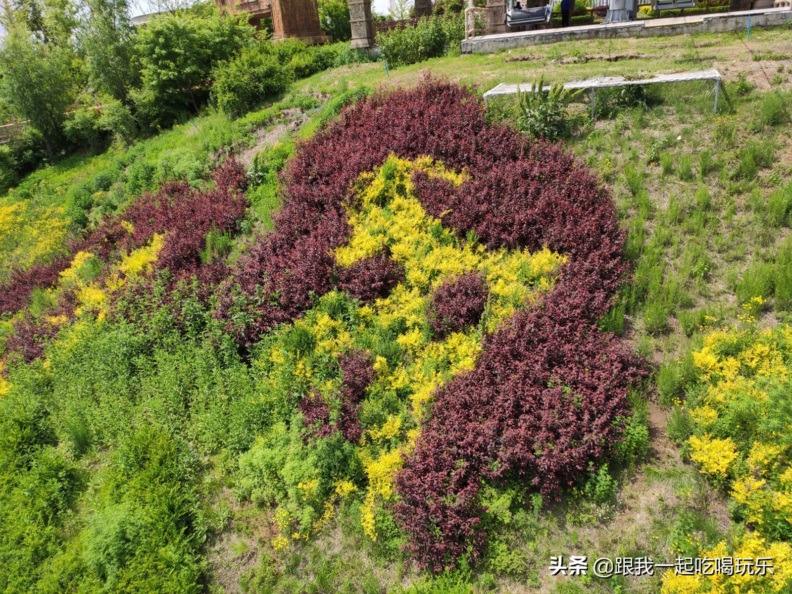 沈阳热高乐园丛林欢乐世界,沈阳丛林欢乐世界