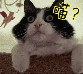 恐龙玩具有什么特点,为何孩子们那么喜欢恐龙玩具