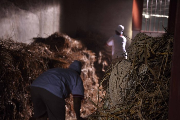糊涂老酒这个酒怎么样,酱香型老酒为什么这么好喝