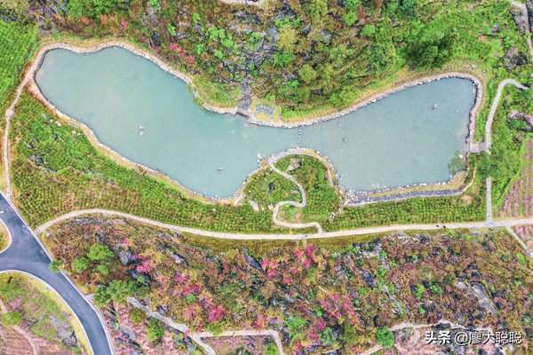 重庆这片花海你还没有来打开，那你就输了