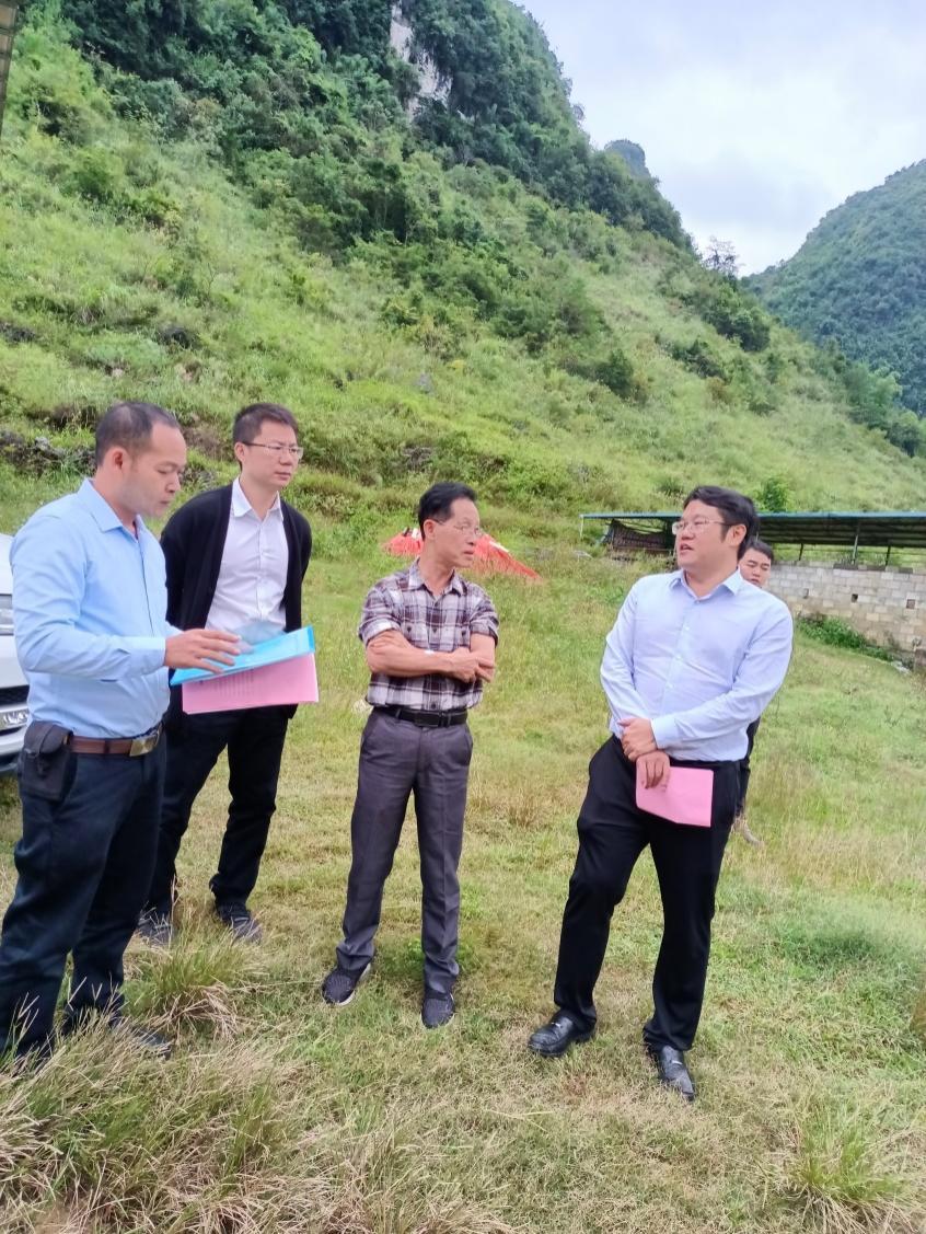 助力农业产业转型升级,全县农业产业振兴工作方案