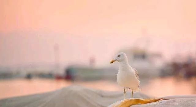 第一次没做完，再次去做会失去最初的感觉