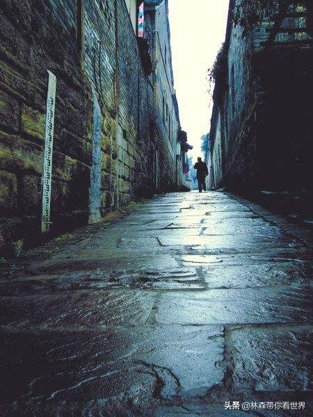 林森完整版免费观看,林森完整视频