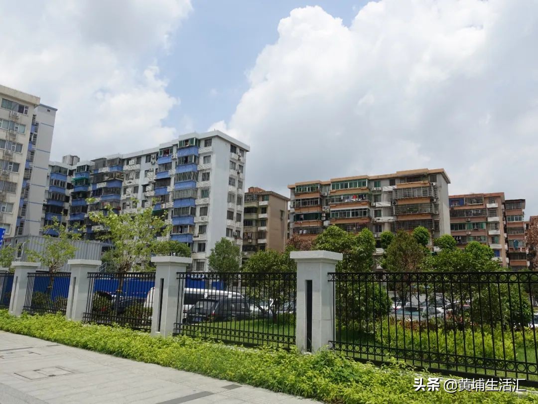 黄埔区怡园小学对应小区,广州黄埔怡园小学有什么楼盘