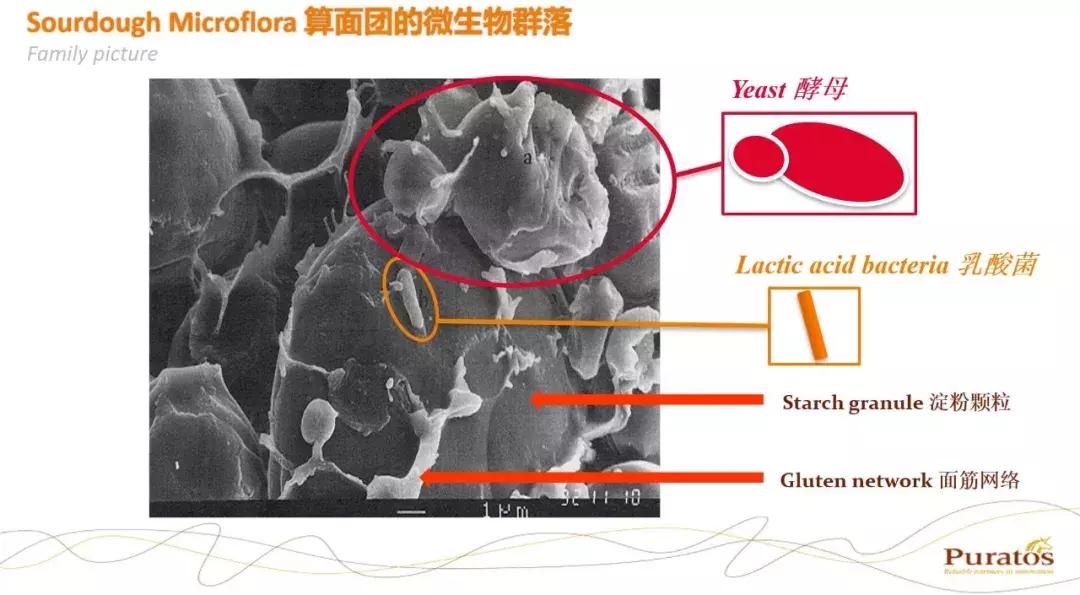 六国面包师的华山论剑,烘焙人最感兴趣的技术秘诀、开店运营