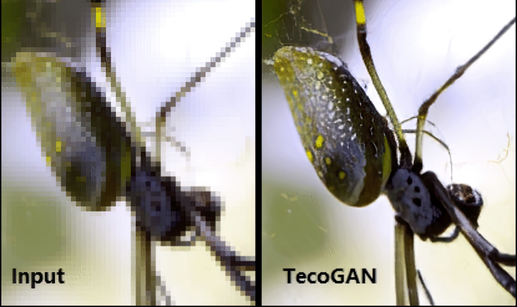 打马赛克的视频还能清除吗,视频打马赛克可以还原吗