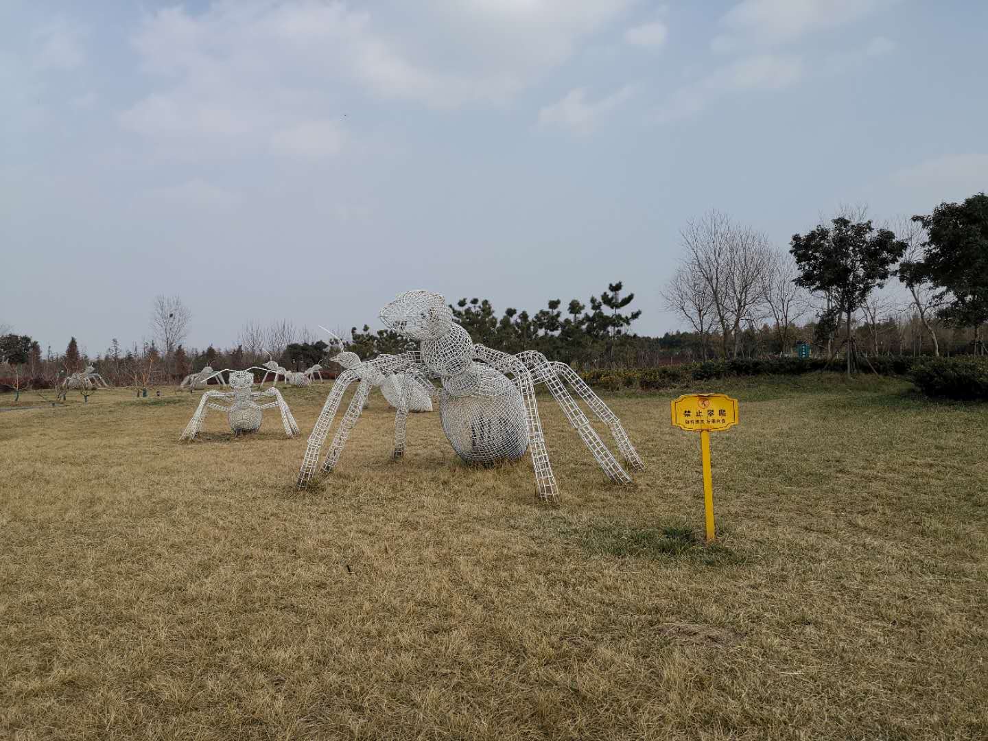 洛阳适合带孩子玩的公园,洛阳室外春游