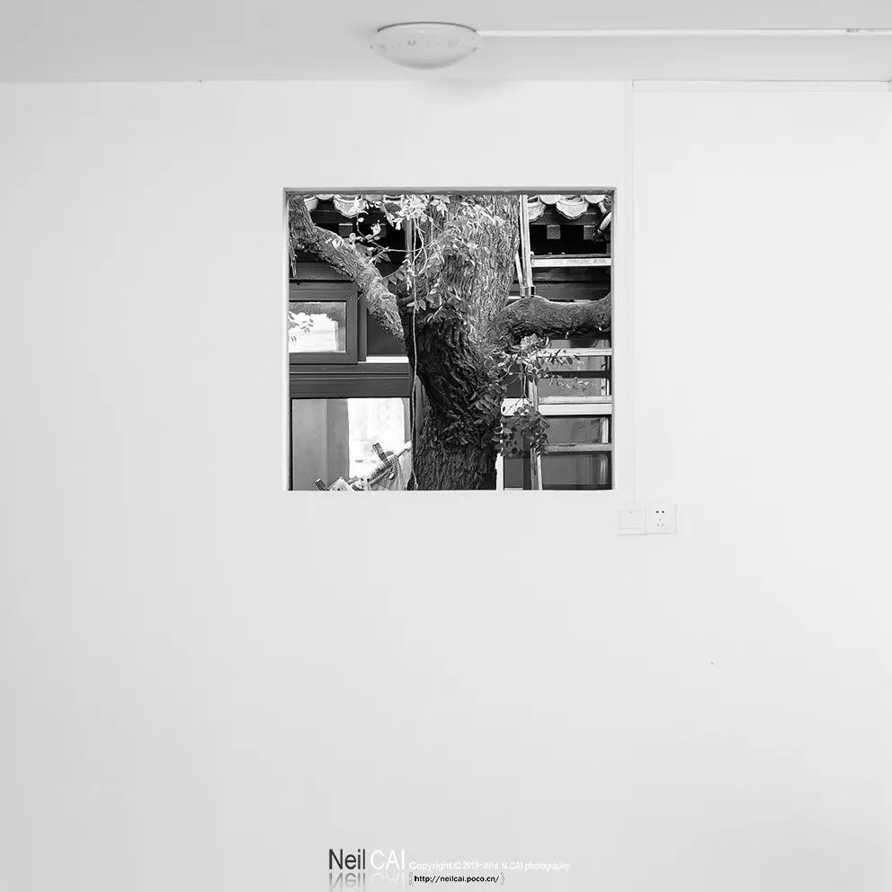 黑白摄影灰度,黑白摄影简约