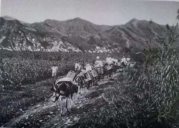 100年前中国风景建筑老照片,两亿多年前的景观