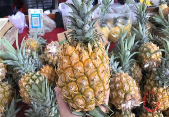 买菠萝攻略,买菠萝的正确方法